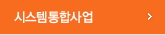 시스템통합사업